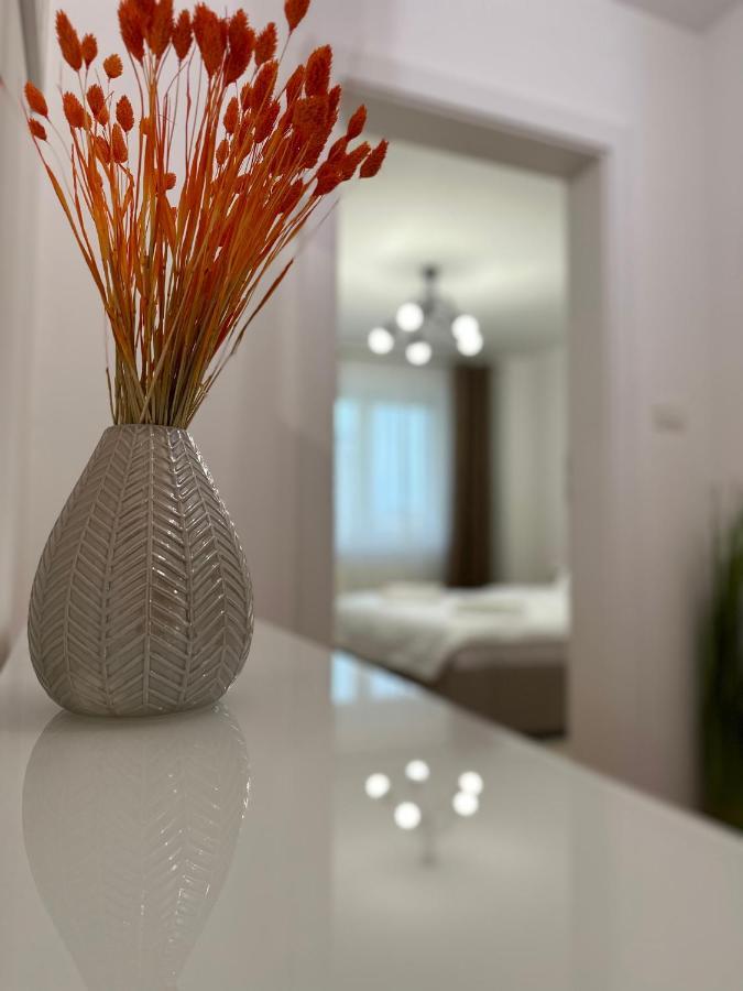 Esi Apartments #Central With Garage 蒂米什瓦拉 外观 照片